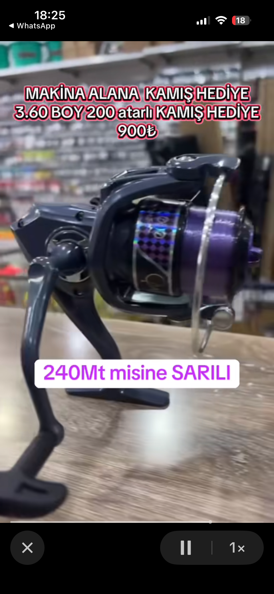 ALYPSO MAKİNE + KAMIŞ HEDİYE